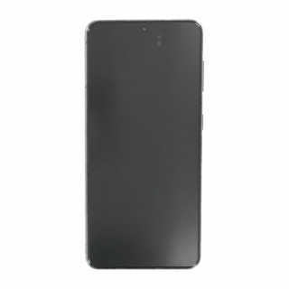 Sklo a LCD displej pro Samsung Galaxy S21 5G / SM-G991, originál, šedá